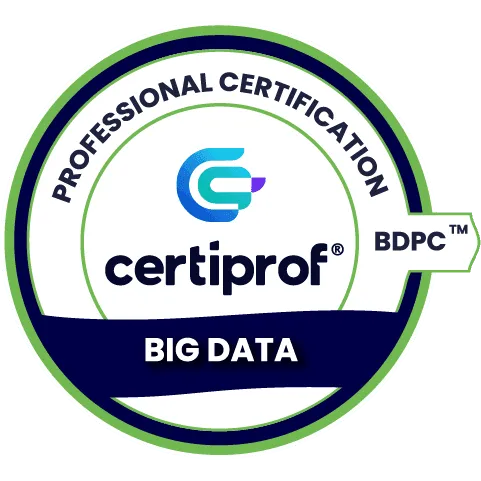 Big Data Professional Certificate